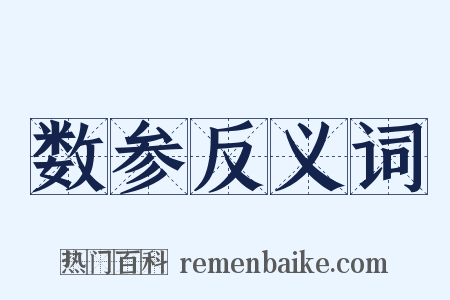 数参反义词是什么意思的图片